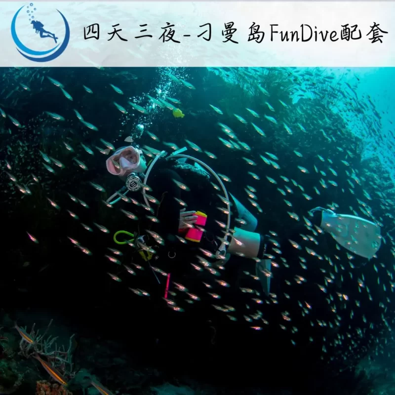 四天三夜-刁曼岛FunDive配套