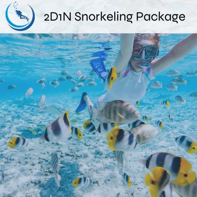 2D1N Tioman Snorkeling Package