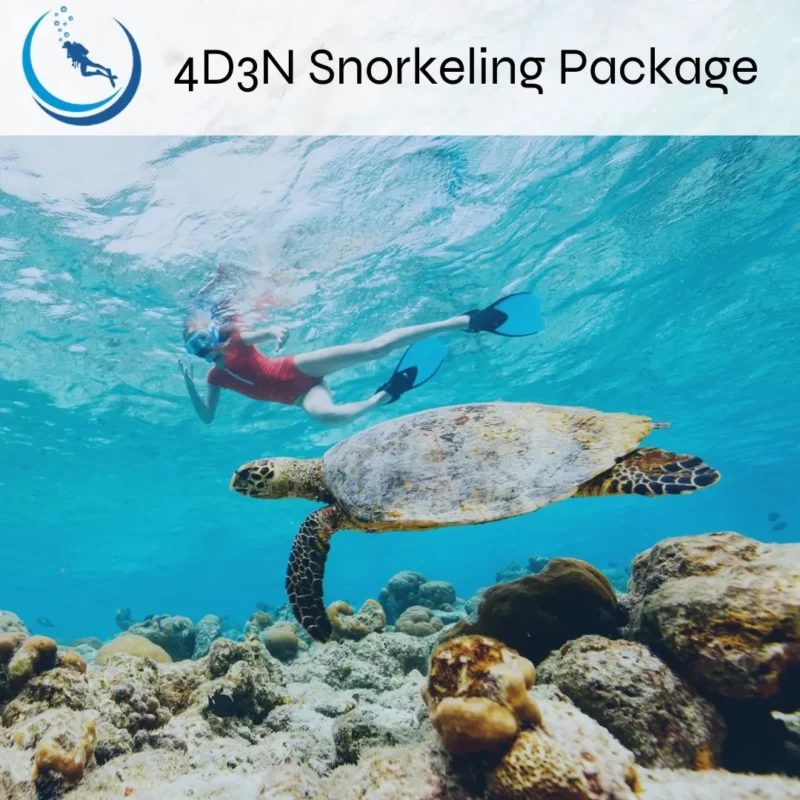 4D3N Tioman Snorkeling Package