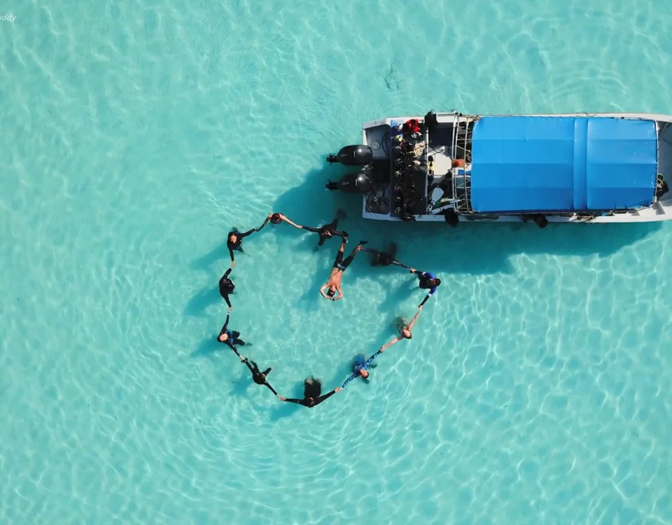 Aerial Serenity Divers in Harmony Amidst Tiomans Pristine Waters