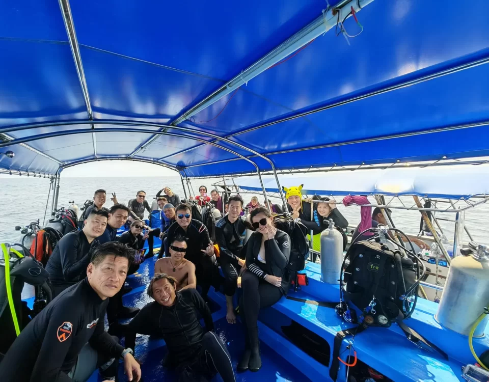 Open Water Diver Course Your Passport to Underwater Adventures