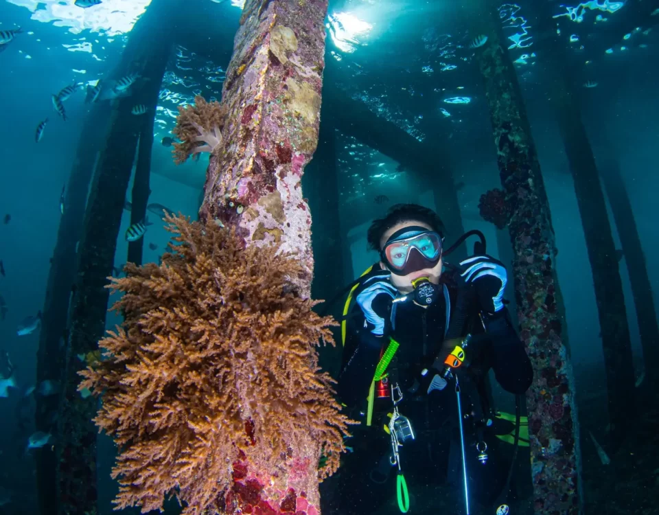 open water diver course 3