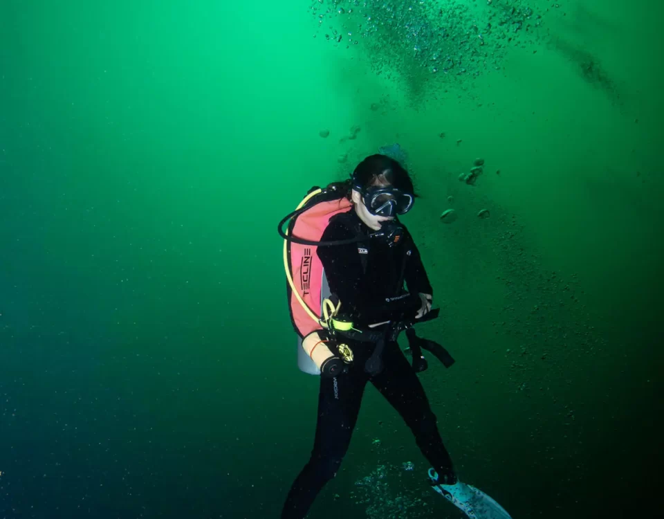 open water diver course