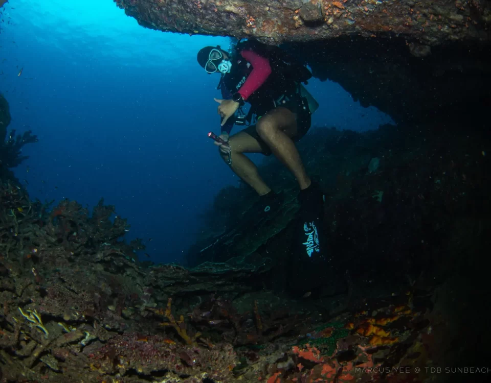 Underwater with Diving Instructor Anson Ho