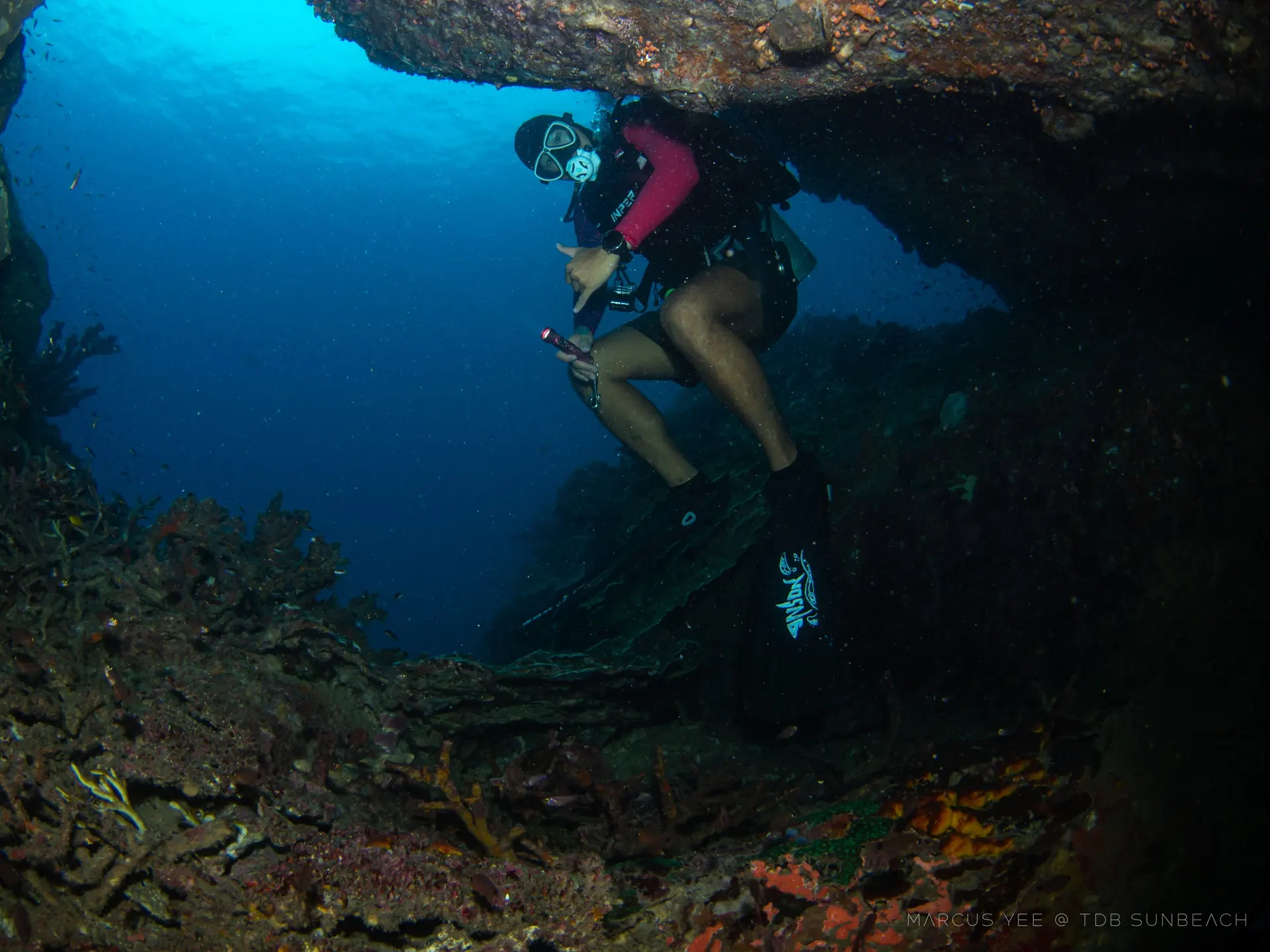 Underwater with Diving Instructor Anson Ho